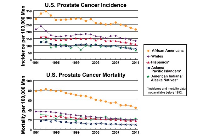 Prostate Cancer Stages