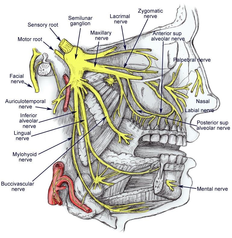 Neuropathy and ocb