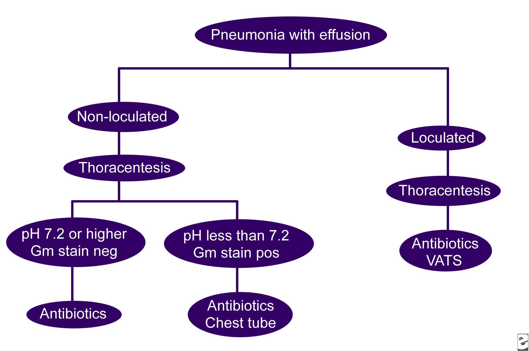 What strain of pneumonia can cause alveolar consolidation?
