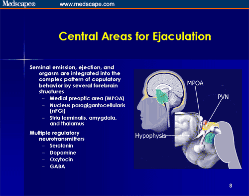 premature ejaculation