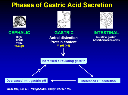 Acid Secretion Stomach