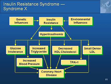 Syndrome: Syndrome X