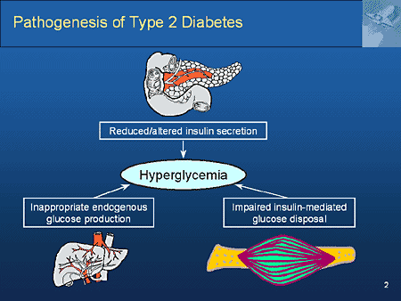 Diabetes Pathogenesis