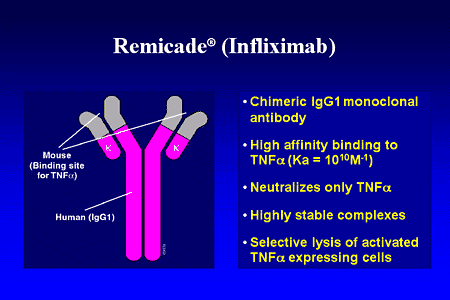 Infliximab Structure