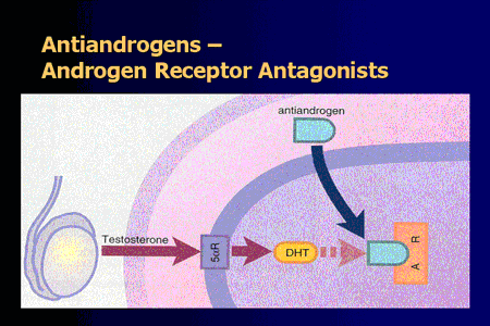 antiandrogen