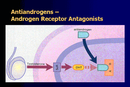 Androgen Excess Medication: Oral contraceptives ...