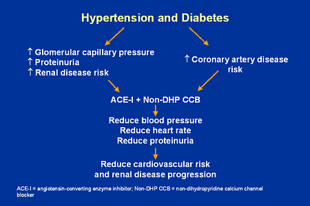 New Concepts In Hypertension Therapy And Cardiovascular Disease The