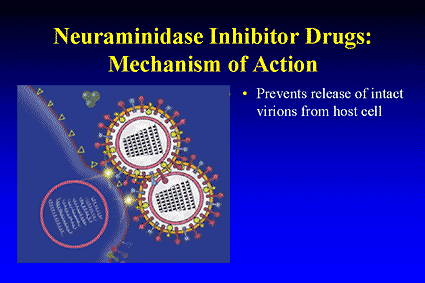 Amantadine Mechanism