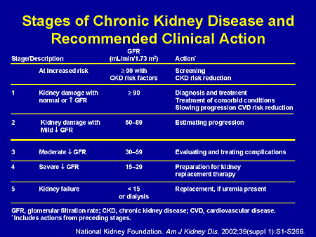 Chronic Kidney Disease Diet Plans