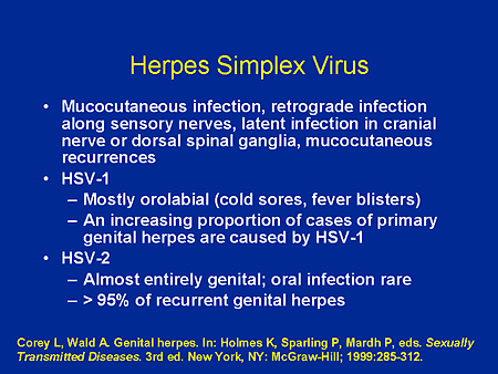 herpes simplex virus structure. Herpes+simplex+virus+