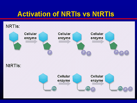 Nucleoside Vs Nucleotide