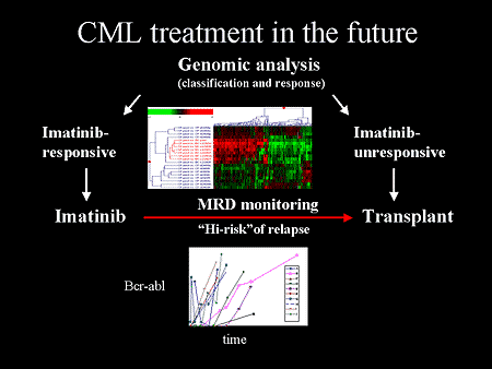 CML Treatment in the Future