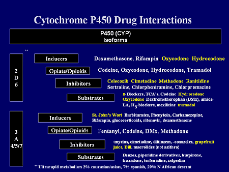 tramadol prozac interactions and