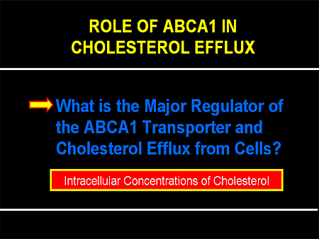 Cholesterol Efflux