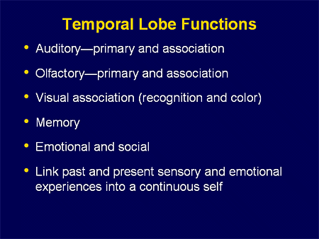 Temporal Lobe Function