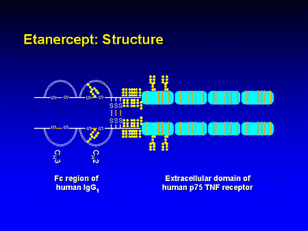 view evolutionary biogeography an