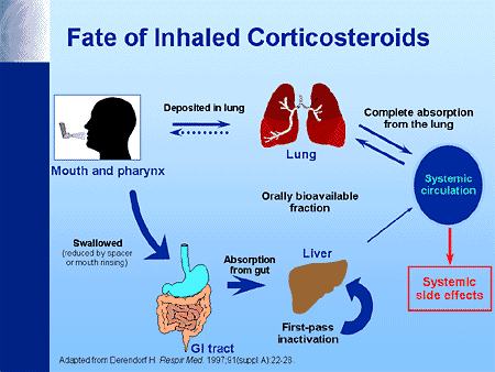 Inhaled corticosteroids for asthma examples