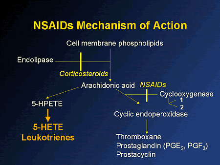 Corticosteroid mechanism of action inflammation