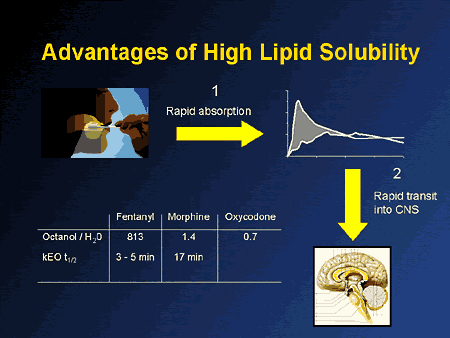 bioavailability of oxycodone insufflated