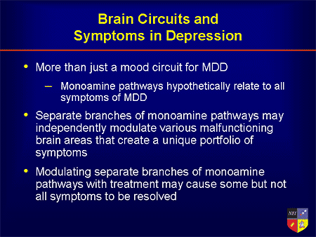 Brain And Depression