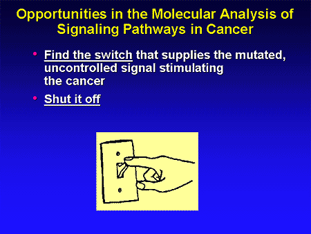 cancer signaling pathways. of Signaling Pathways in