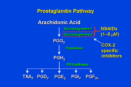 download organosilicon chemistry 2