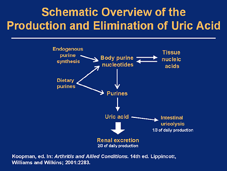 excretion and elimination of essay excretion and elimination of essay