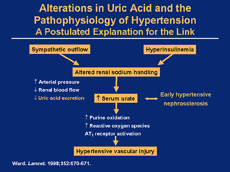 Alterations in Uric Acid and