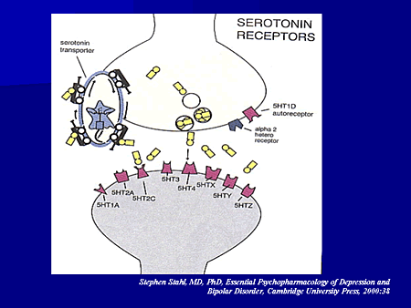 Diet Dopamine Receptors And Alcohol