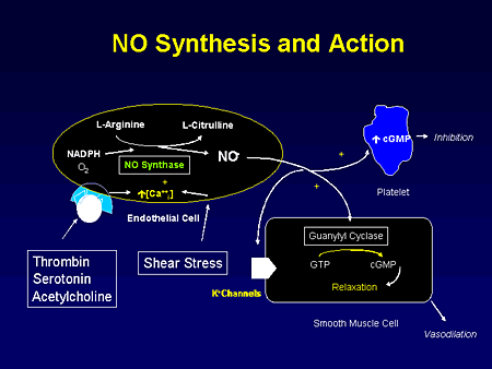 no synthesis