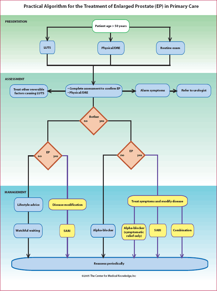 Practical Guidelines for the Treatment of Enlarged Prostate in the ...