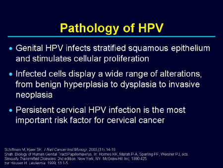 Preventing Cervical Cancer And Other HPV-Related Diseases