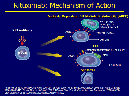 Could Rituximab Be Working Against Ebv Multiple Sclerosis