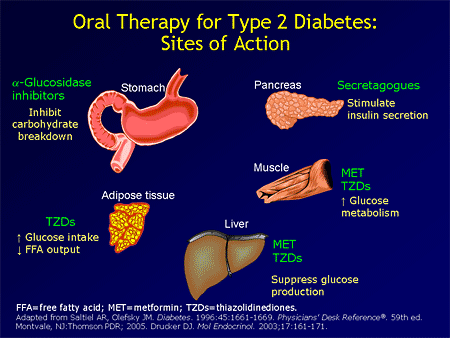 (Enlarge Slide)