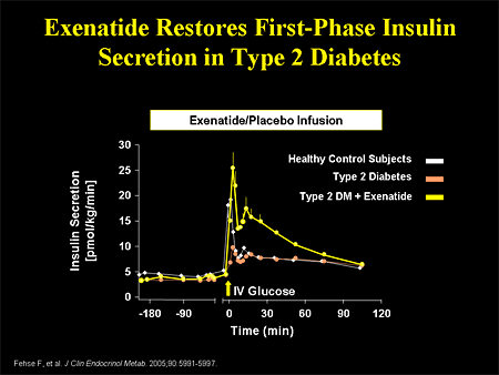Second phase insulin secretion type 2 diabetes diet