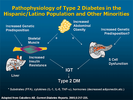 essays about type 2 diabetes essays about type 2 diabetes