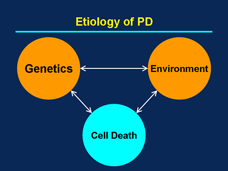 causes and effects of parkinson s disease The causes of parkinson's disease currently remain unclear although about 10% are genetically linked, the remainder (approximately 90%), are of unknown cause. causes and effects of parkinson s disease The causes of parkinson's disease currently remain unclear although about 10% are genetically linked, the remainder (approximately 90%), are of unknown cause.