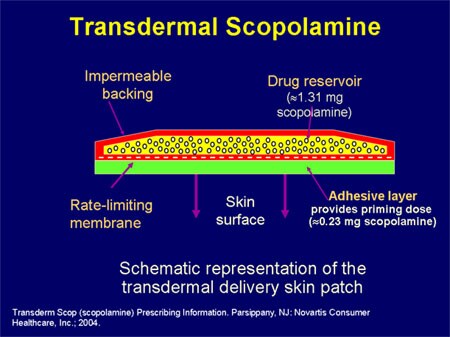 Transdermal Scopolamine Patch Cost