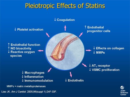 for the lipid-lowering and pleiotropic effects of the statins.
