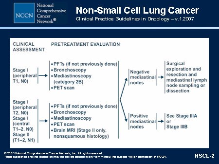 NCCN Non Small Cell Lung Cancer Guidelines Update Slides With Transcript