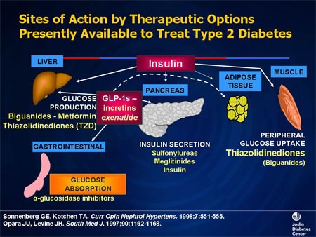 Acarbose | medicinanet