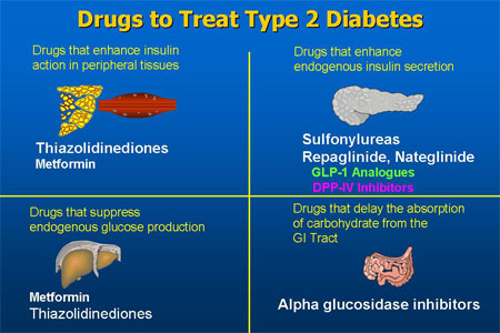 Researchers find a potential target for the treatment of type 2 diabetes 