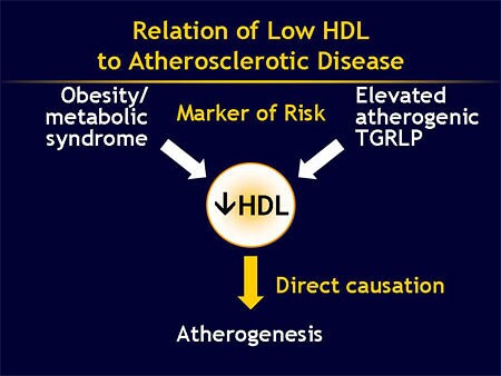 Low Hdl