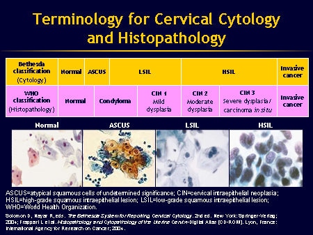 Cytology Slide