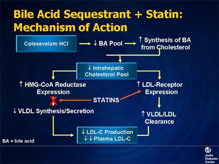 atorvastatin mechanism of action