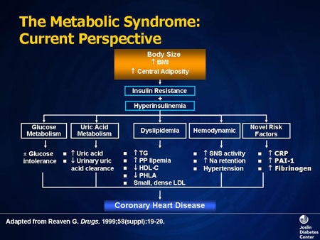 Metabolic Syndrome Pathophysiology