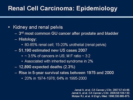 Everolimus slows disease progression in advanced papillary kidney cancer patients