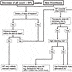 prophylactic