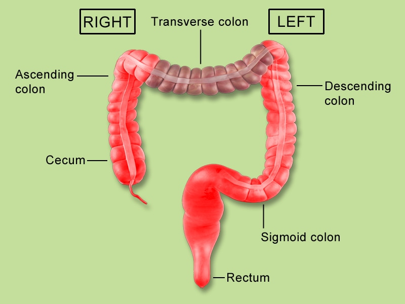 can you feel your descending colon left side