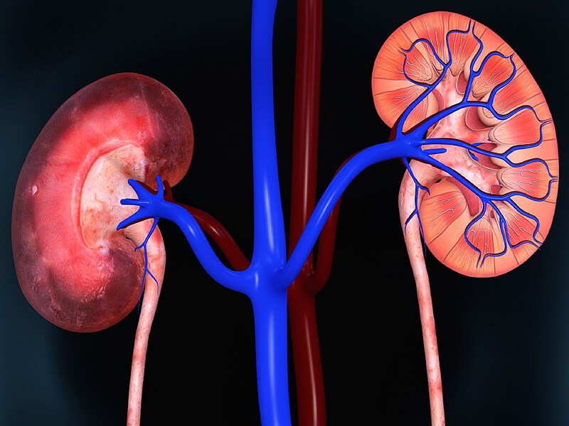 is glucophage safe for kidneys
